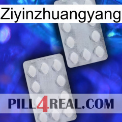 Ziyinzhuangyang 17